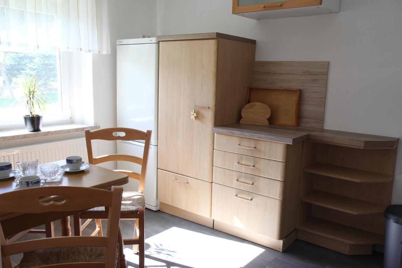 Ferienwohnung Lippmann Grosshartmannsdorf 외부 사진